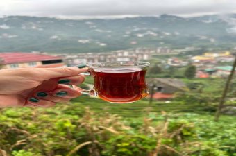 Rize çayı